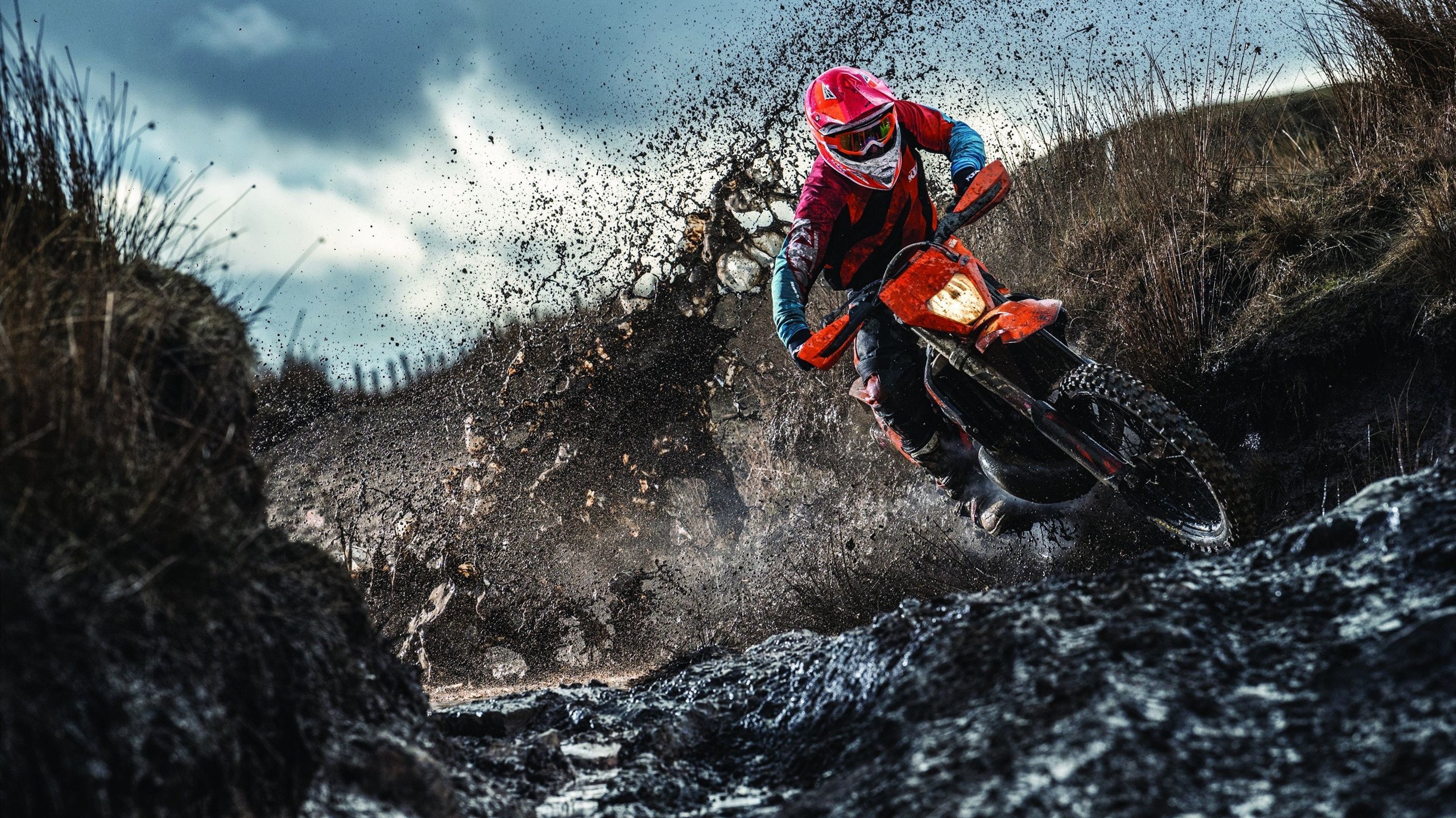 接力赛精彩收官 澳女队勇夺银，奥运会女子接力直播